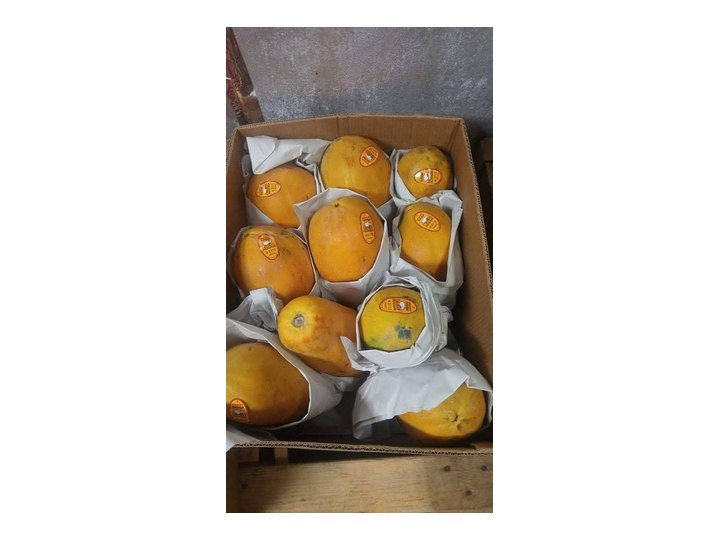 Mangoes